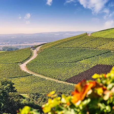 Naturmed Am Park 4* באדנוויילר