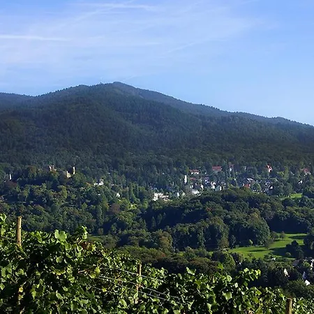 Naturmed Am Park מלון 4*