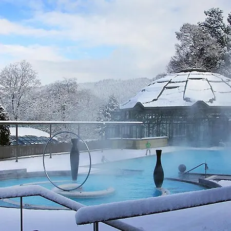 מלון Naturmed Am Park 4*