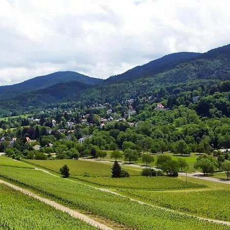 מלון Naturmed Am Park באדנוויילר