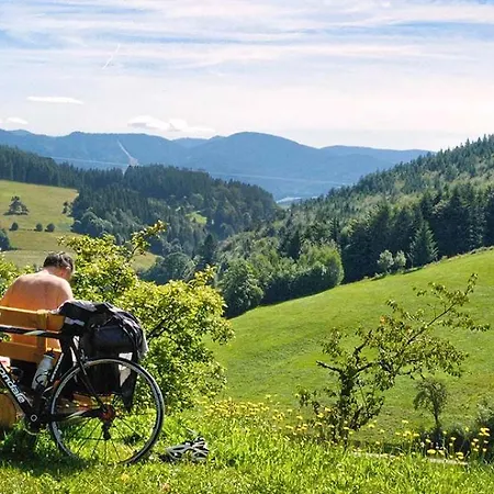 Naturmed Am Park מלון