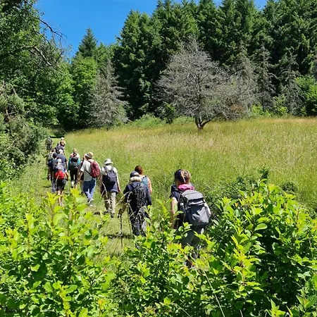 מלון Naturmed Am Park באדנוויילר