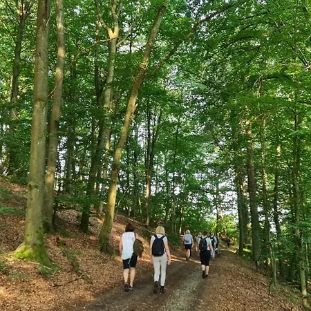 Naturmed Am Park מלון