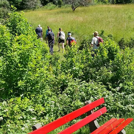 Naturmed Am Park באדנוויילר